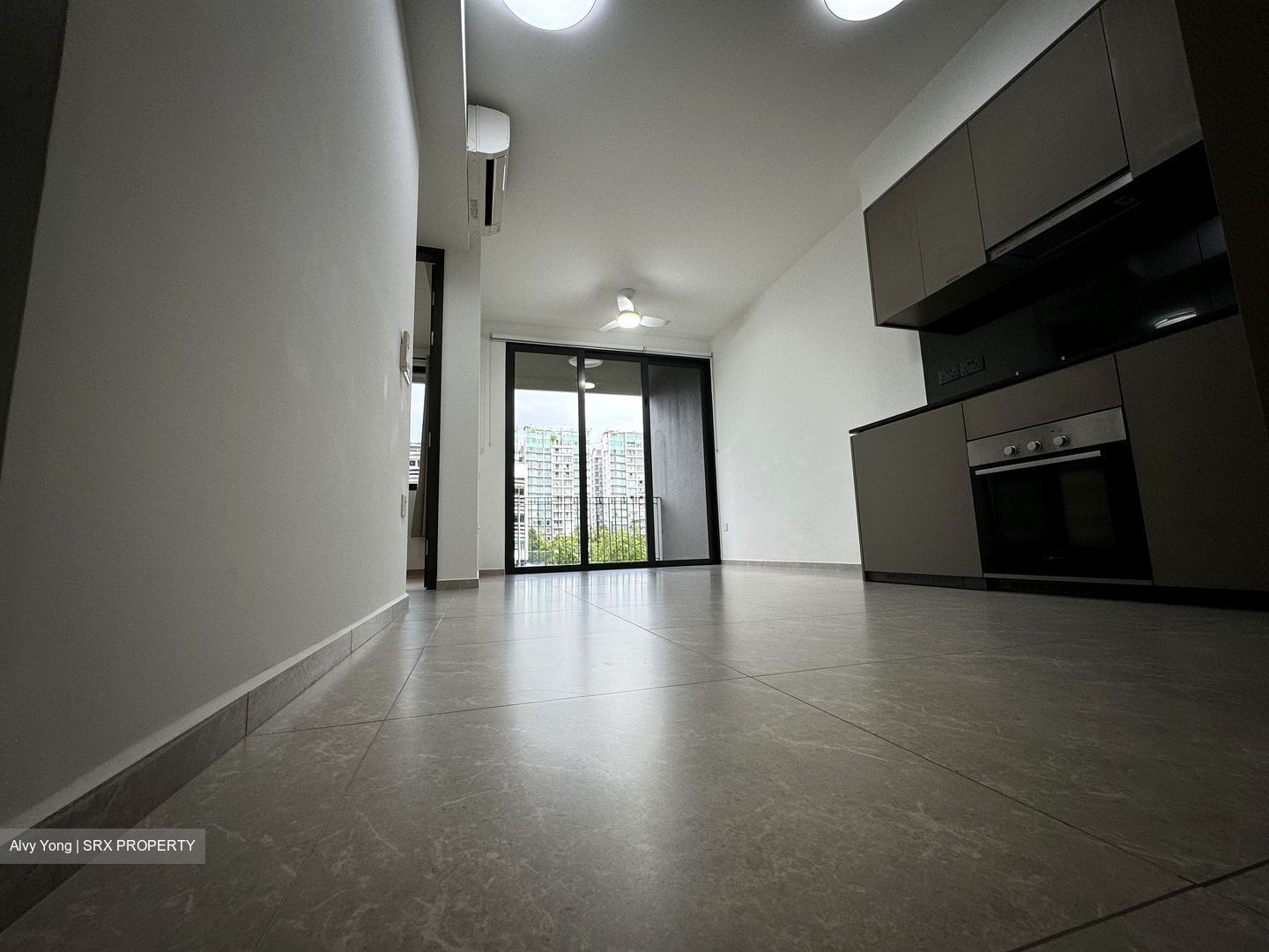 Park Colonial (D13), Condominium #433697891